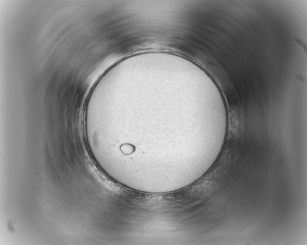 X0000103901098200810031143