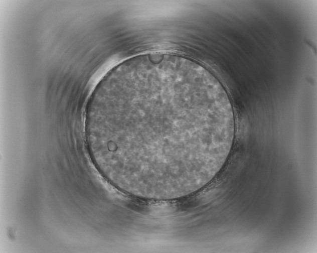 X0000103901099200810031143