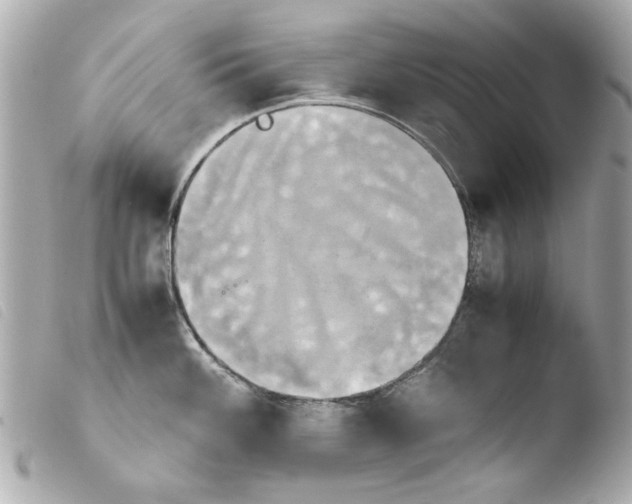 X0000103901100200810031143