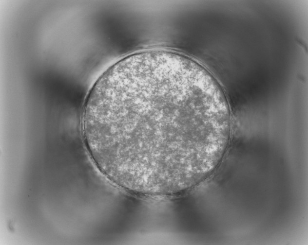 X0000103901101200810031143