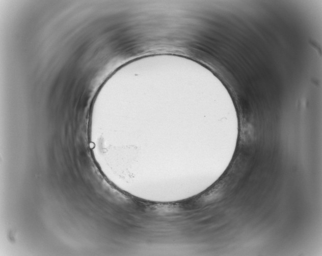 X0000103901102200810031143