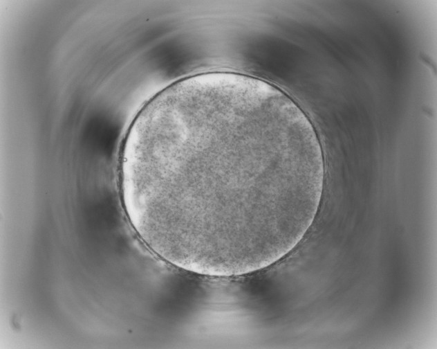 X0000103901104200810031143