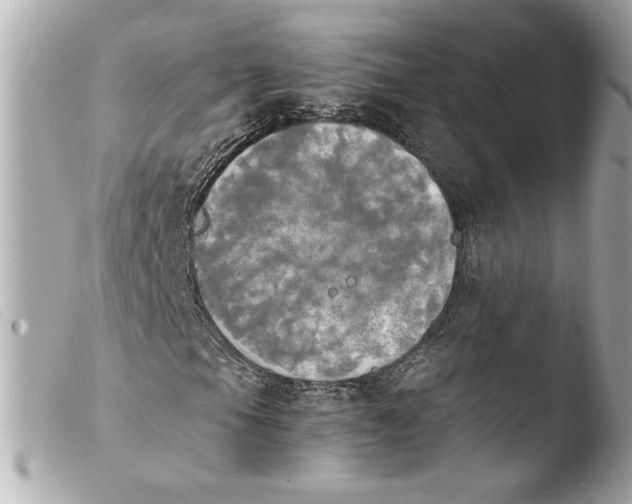 X0000103901105200810031142