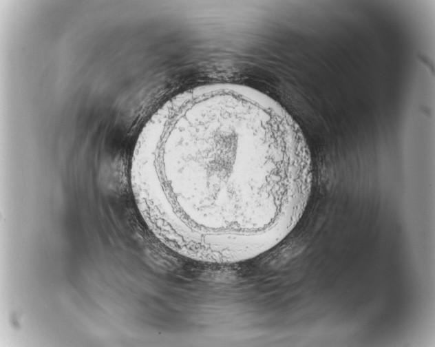 X0000103901106200810031142