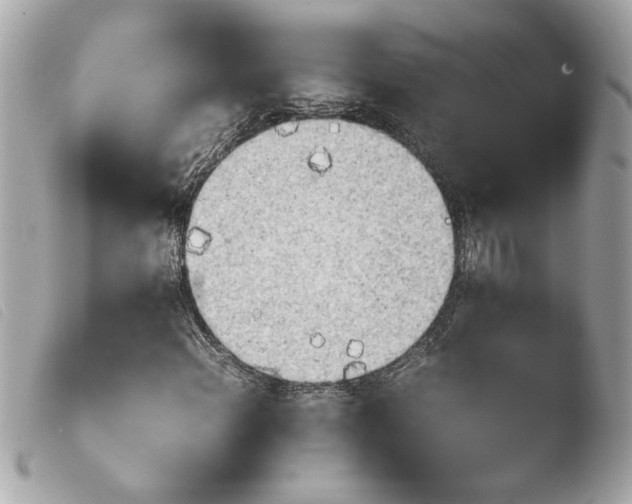 X0000103901108200810031142