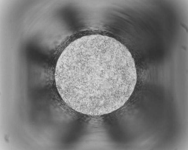 X0000103901110200810031142