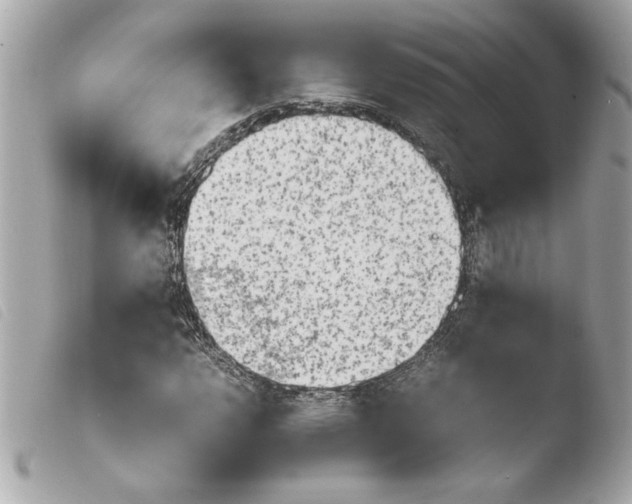 X0000103901112200810031142