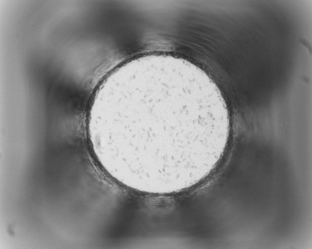 X0000103901113200810031142