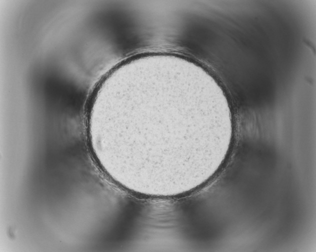 X0000103901114200810031142