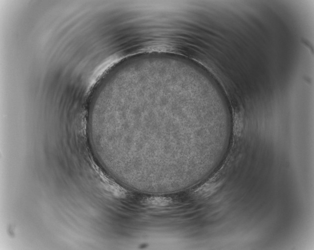 X0000103901115200810031142