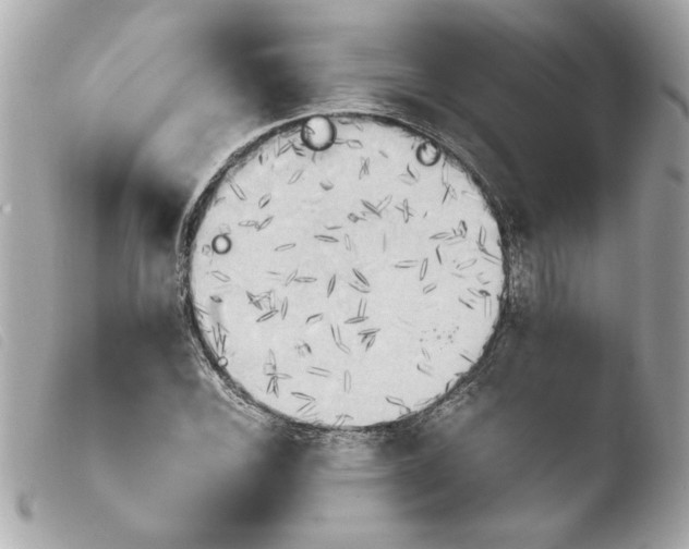 X0000103901116200810031142