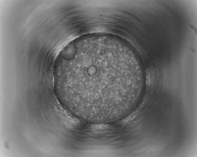 X0000103901117200810031142