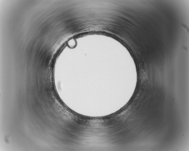 X0000103901118200810031142