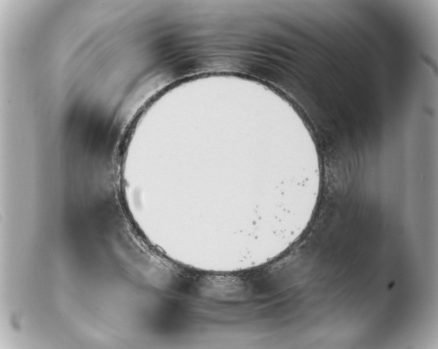 X0000103901119200810031142