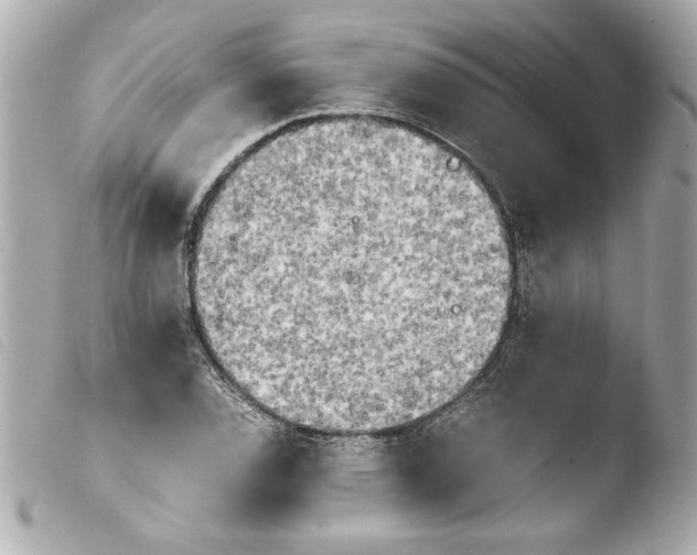 X0000103901120200810031142