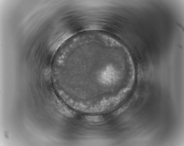 X0000103901121200810031142