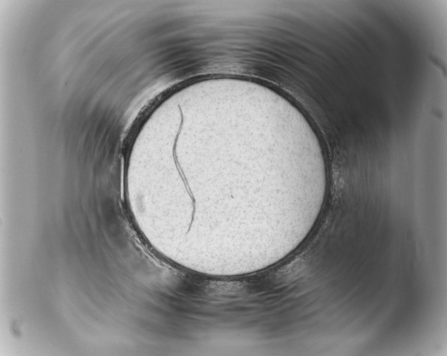 X0000103901123200810031142