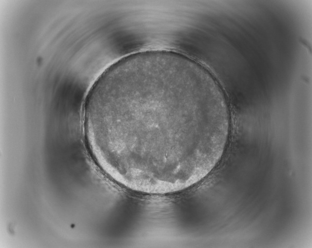 X0000103901124200810031142