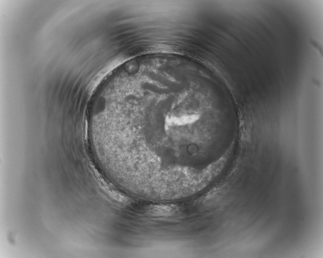 X0000103901125200810031142