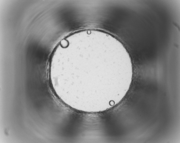 X0000103901126200810031142