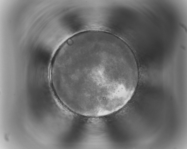 X0000103901128200810031142