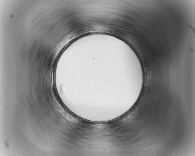 X0000103901130200810031142