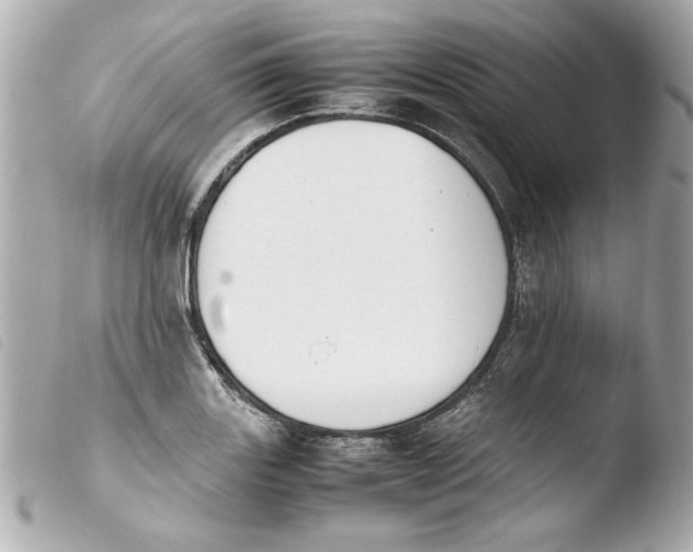 X0000103901131200810031142