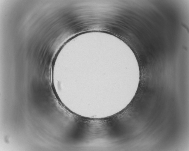 X0000103901132200810031142