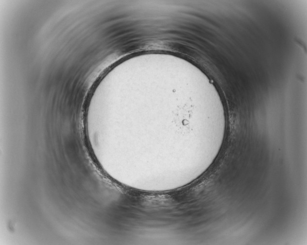 X0000103901133200810031143