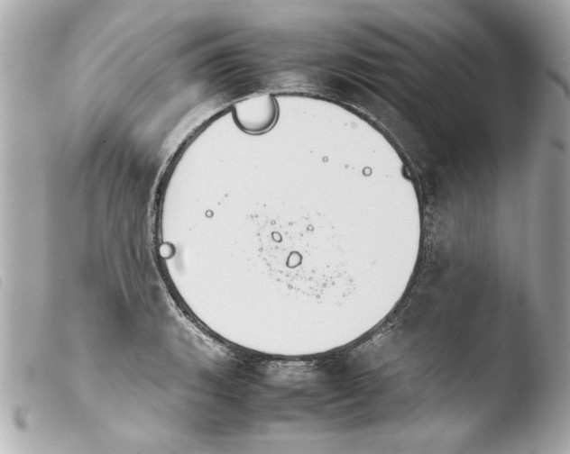 X0000103901135200810031143