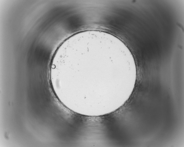 X0000103901136200810031143