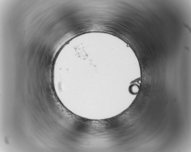 X0000103901138200810031143