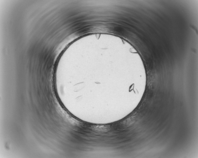 X0000103901139200810031143