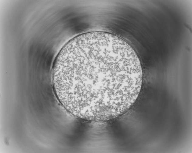 X0000103901140200810031143