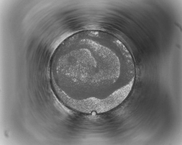 X0000103901141200810031143