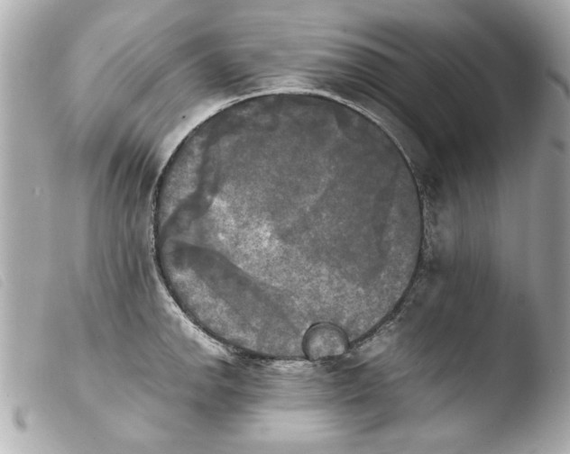 X0000103901142200810031143