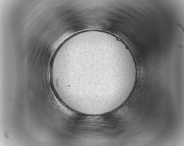 X0000103901143200810031143