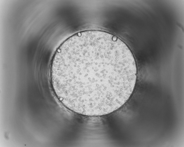 X0000103901144200810031143