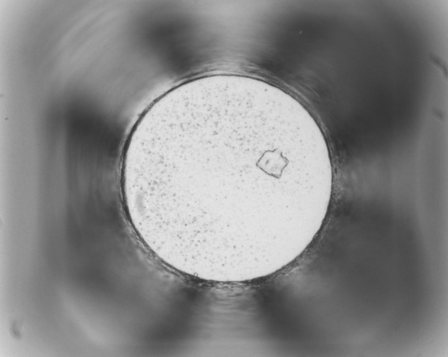 X0000103901146200810031143