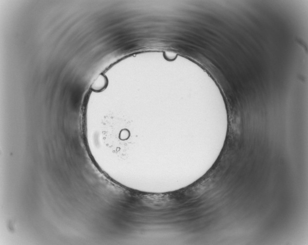 X0000103901147200810031143