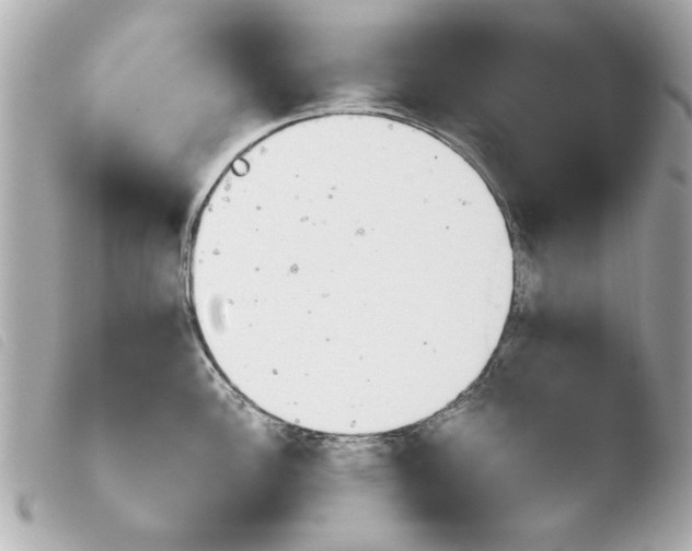 X0000103901148200810031143