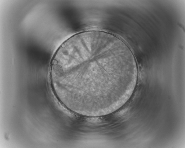 X0000103901149200810031143