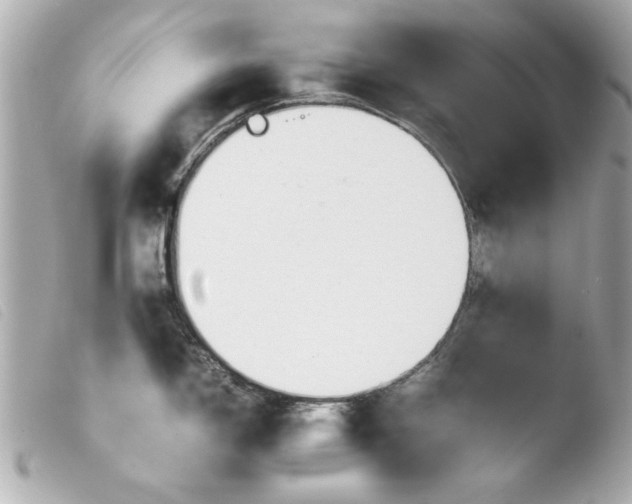 X0000103901150200810031143