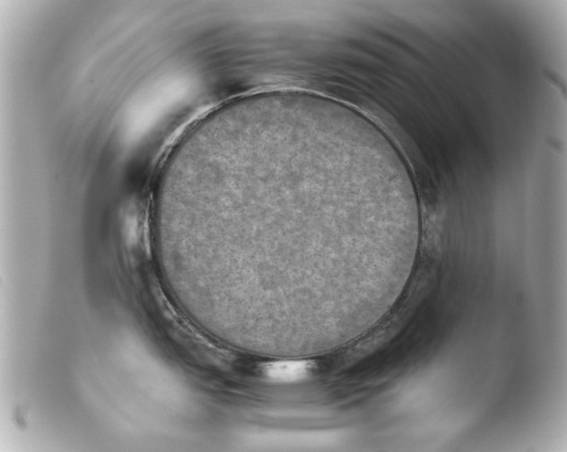 X0000103901151200810031143