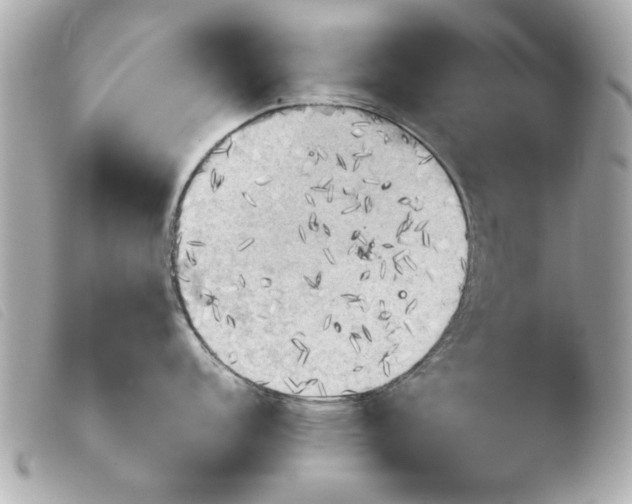 X0000103901152200810031143