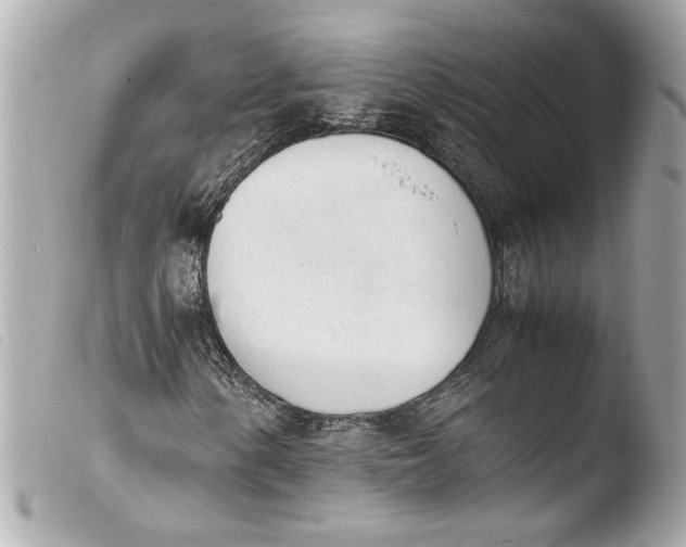 X0000103901154200810031142