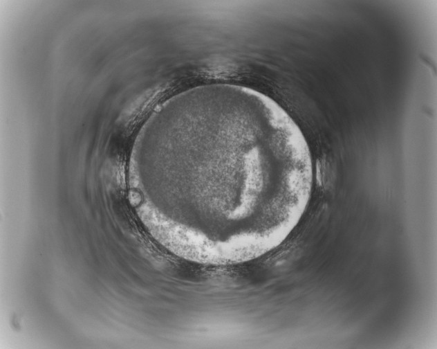 X0000103901155200810031142