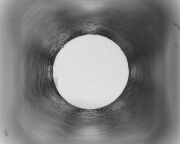 X0000103901156200810031142