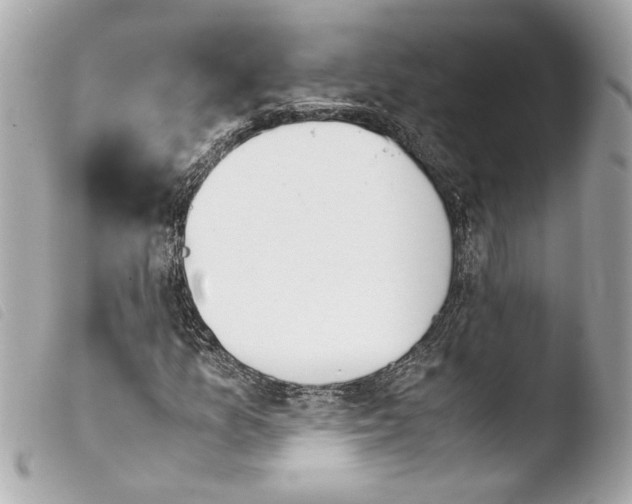 X0000103901157200810031142