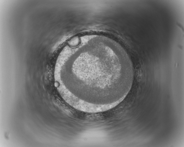 X0000103901159200810031142